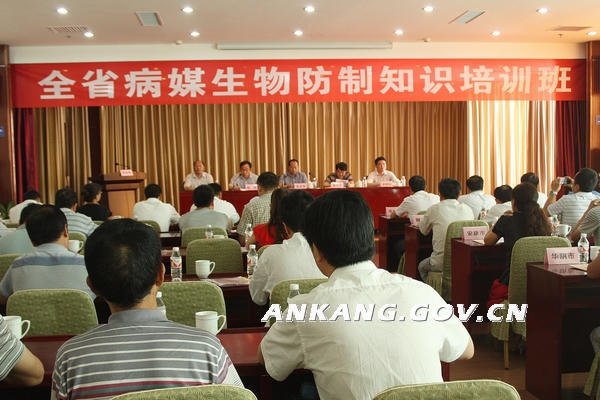 皇冠线上体育