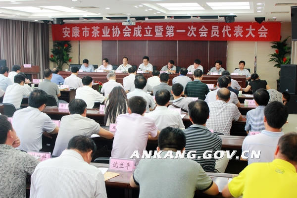 皇冠线上体育