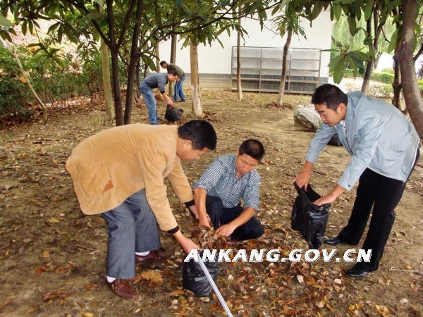 皇冠线上体育