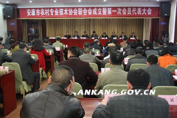皇冠线上体育