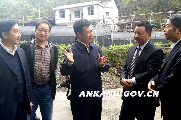 皇冠线上体育