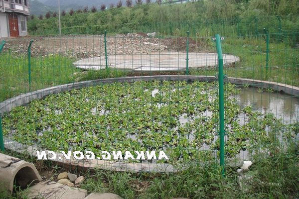 皇冠线上体育