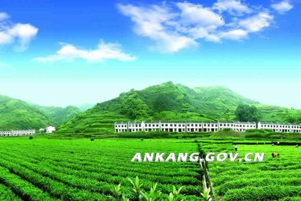 皇冠线上体育
