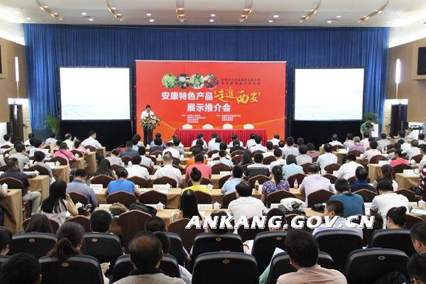 皇冠线上体育