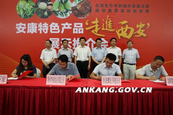 皇冠线上体育