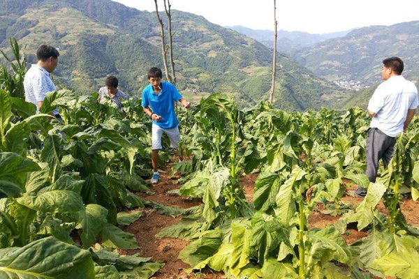 皇冠线上体育