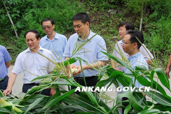 皇冠线上体育