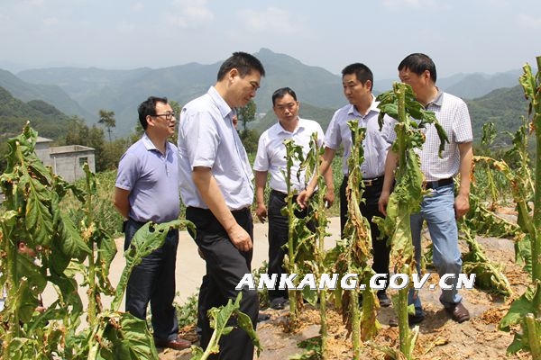 皇冠线上体育