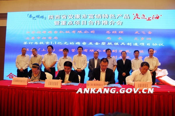 皇冠线上体育