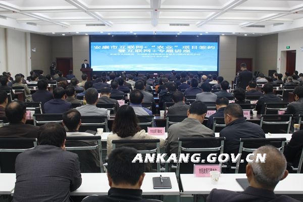 皇冠线上体育