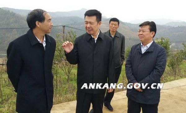 皇冠线上体育