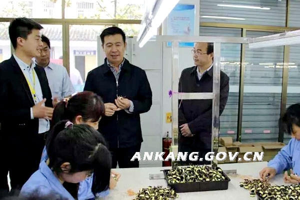 皇冠线上体育