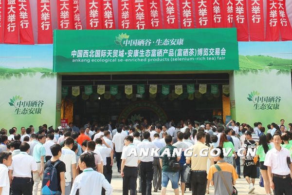 皇冠线上体育