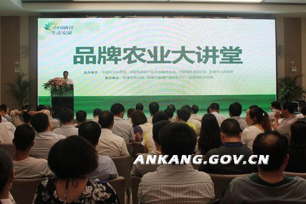 皇冠线上体育