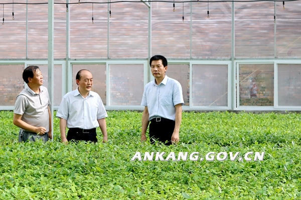 皇冠线上体育