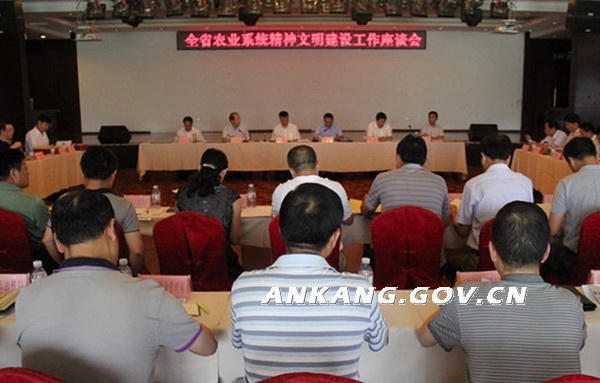 皇冠线上体育