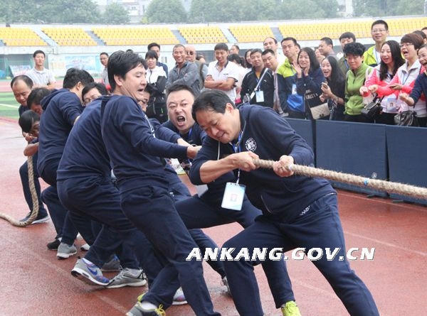 皇冠线上体育