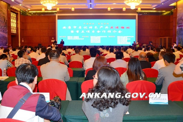 皇冠线上体育