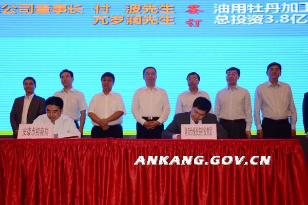 皇冠线上体育