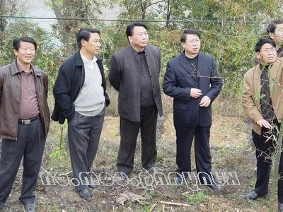 皇冠线上体育