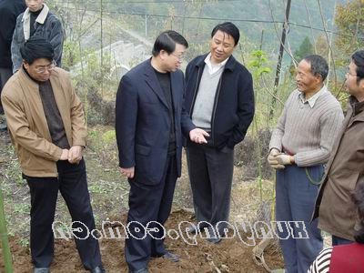 皇冠线上体育