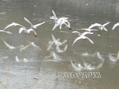 皇冠线上体育