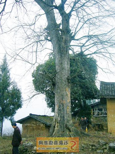 皇冠线上体育