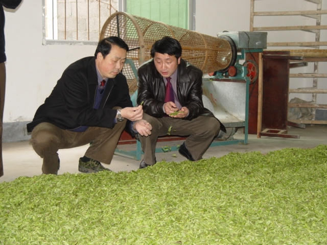 皇冠线上体育