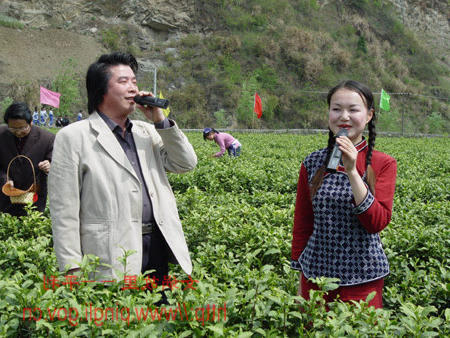 皇冠线上体育