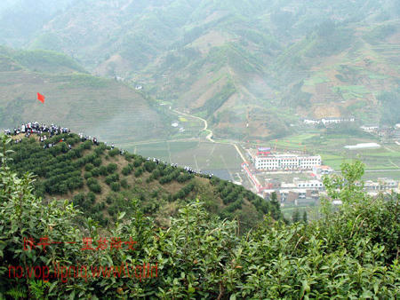 皇冠线上体育