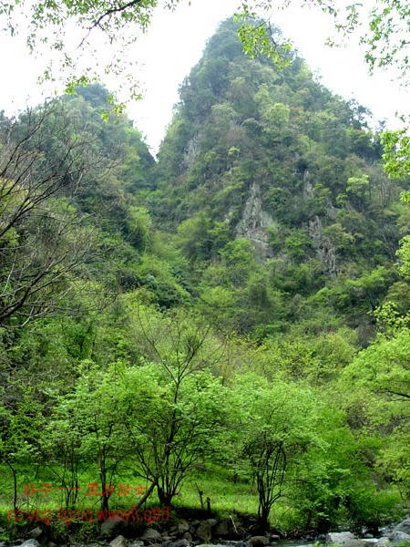 皇冠线上体育
