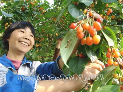 皇冠线上体育