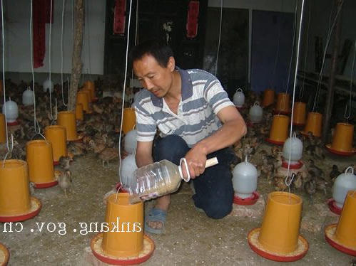 皇冠线上体育