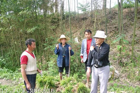 皇冠线上体育