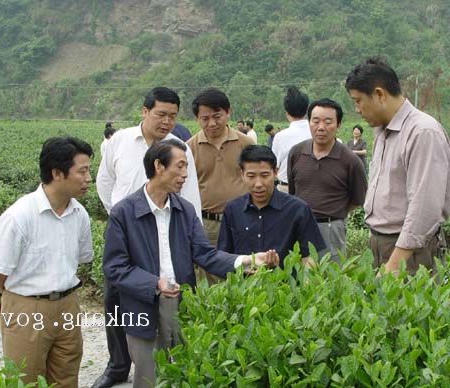 皇冠线上体育