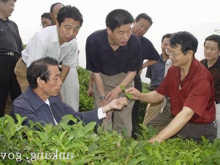 皇冠线上体育
