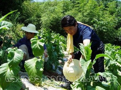 皇冠线上体育