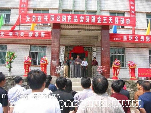 皇冠线上体育
