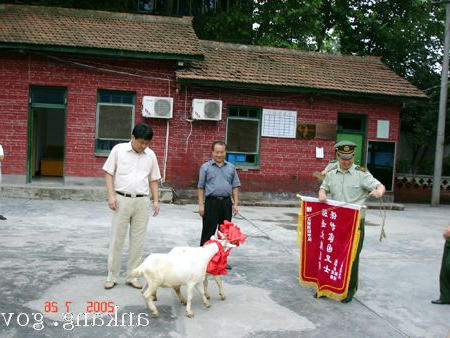 皇冠线上体育