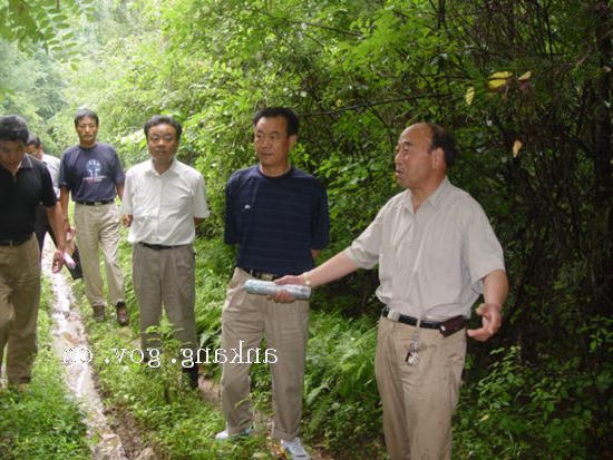 皇冠线上体育