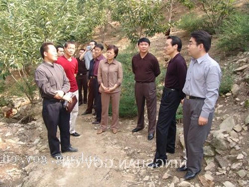 皇冠线上体育