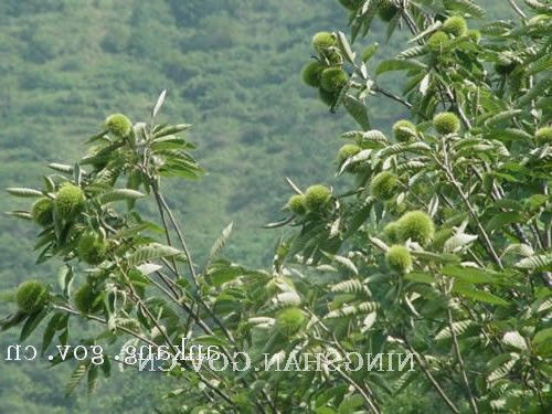 皇冠线上体育