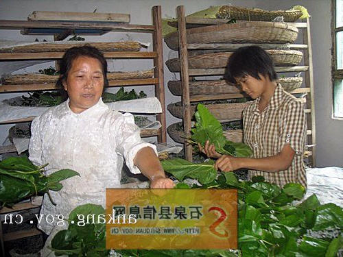 皇冠线上体育