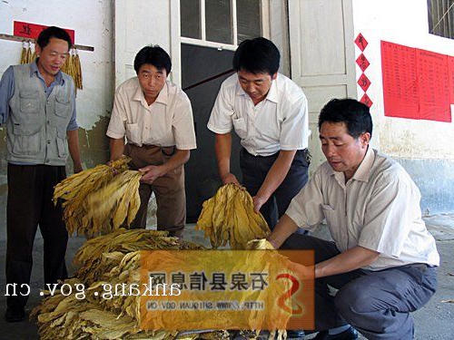 皇冠线上体育