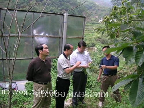 皇冠线上体育