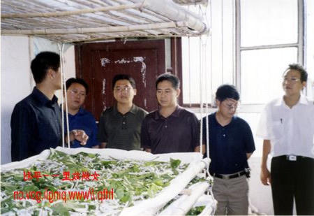 皇冠线上体育