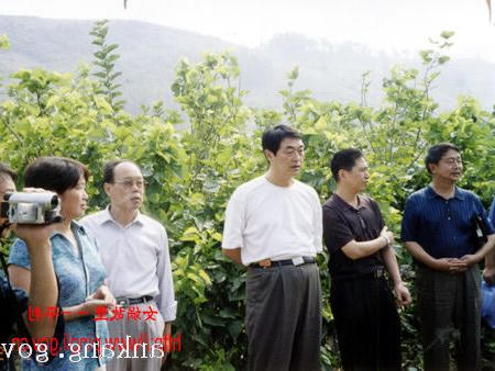 皇冠线上体育