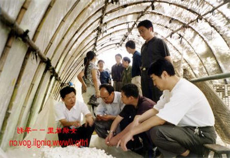 皇冠线上体育