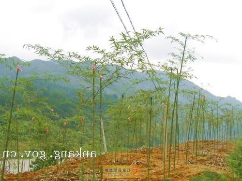 皇冠线上体育