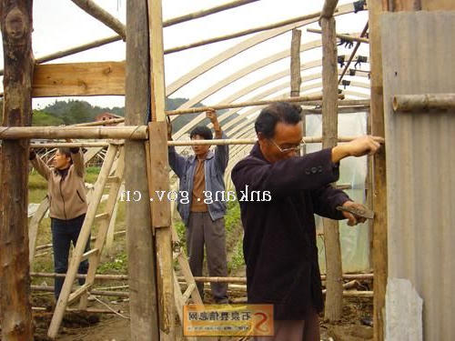皇冠线上体育